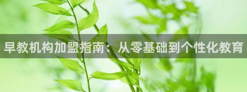 天狮娱乐主招商：早教机构加盟指南：从零基础到个性化教育