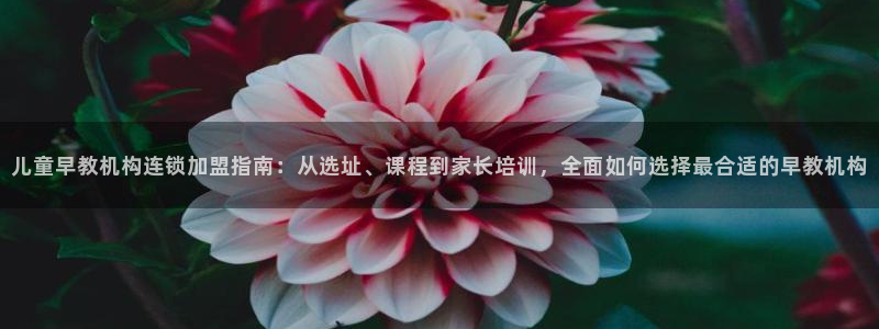 天狮娱乐最高奖金注册：儿童早教机构连锁加盟指南：从选址、课程到家长培训，全面如何