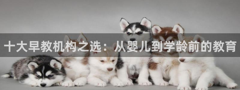 天狮娱乐01c判官333OO：十大早教机构之选：从婴儿到学龄前的教育