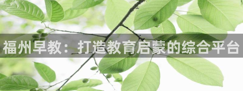 天狮娱乐丨天狮注册平台：福州早教：打造教育启蒙的综合平台