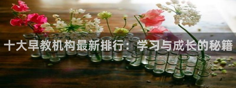 天狮娱乐会路吗：十大早教机构最新排行：学习与成长的秘籍
