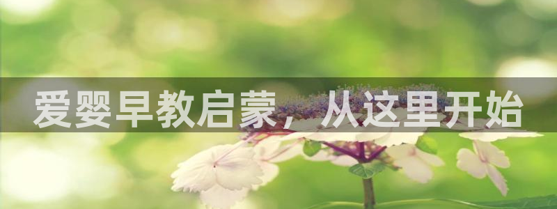 天狮娱乐平台登录：爱婴早教启蒙，从这里开始