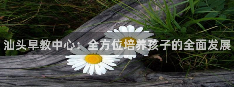 天狮娱乐彩票注册：汕头早教中心：全方位培养孩子的全面发展