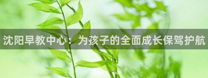 天狮娱乐 主管注册官网：沈阳早教中心：为孩子的全面成长保驾护航