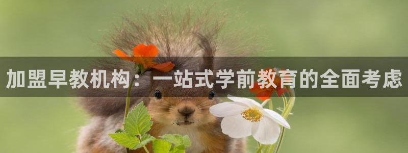 天狮娱乐学：加盟早教机构：一站式学前教育的全面考虑