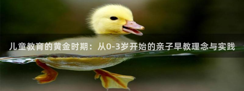 天狮娱乐注册平台官网：儿童教育的黄金时期：从0-3岁开始的亲子早教理念与实践