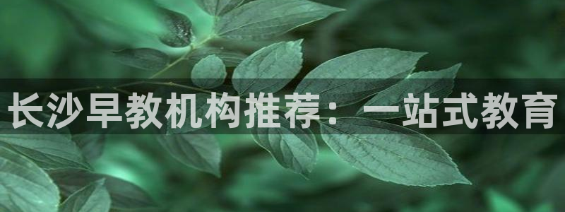 天狮娱乐首选：长沙早教机构推荐：一站式教育