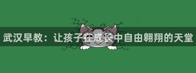 天狮娱乐网：武汉早教：让孩子在成长中自由翱翔的天堂