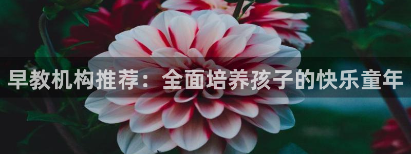 天狮娱乐运营29229：早教机构推荐：全面培养孩子的快乐童年