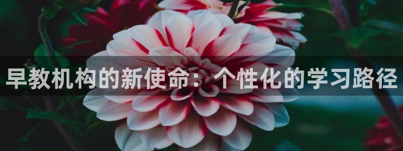 天狮娱乐扣扣29229：早教机构的新使命：个性化的学习路径