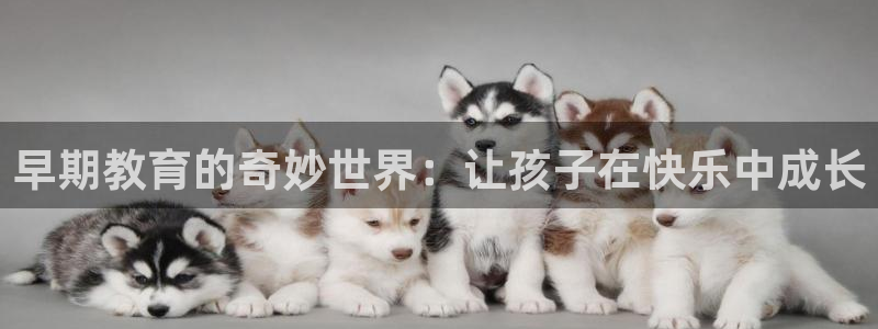 天狮娱乐炔wx15 net：早期教育的奇妙世界：让孩子在快乐中成长