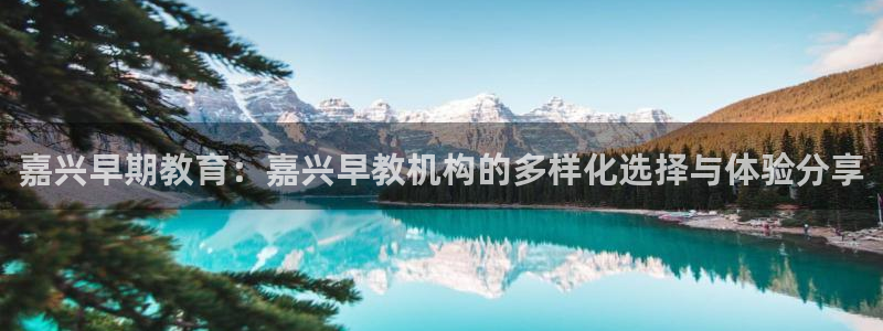 天狮娱乐会路吗：嘉兴早期教育：嘉兴早教机构的多样化选择与体验分享