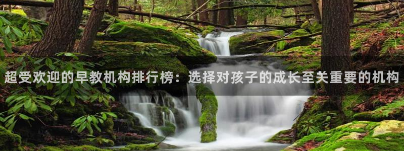 天狮娱乐官网：超受欢迎的早教机构排行榜：选择对孩子的成长至关重要的机构