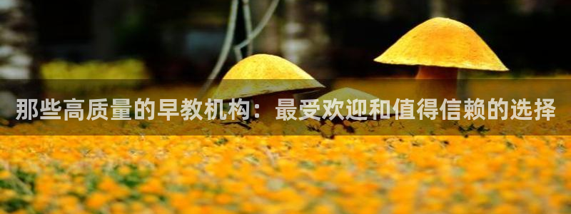 天狮娱乐 主管注册官网：那些高质量的早教机构：最受欢迎和值得信赖的选择