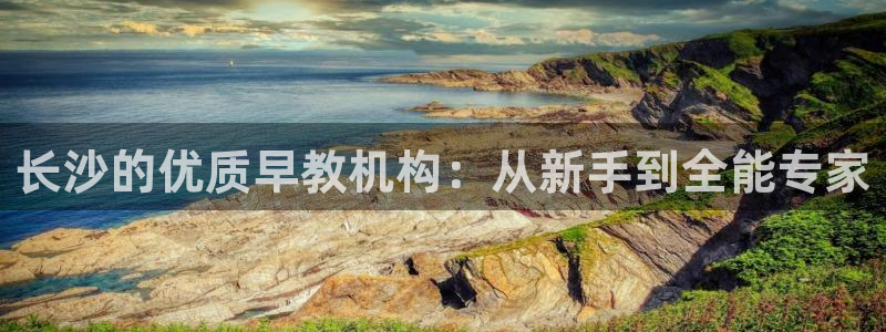 天狮娱乐注册官方网站：长沙的优质早教机构：从新手到全能专家