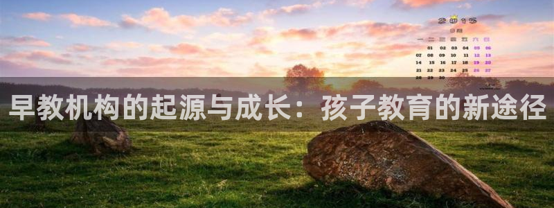 天狮娱乐官方代理：早教机构的起源与成长：孩子教育的新途径
