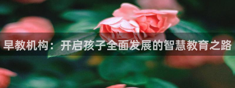 天狮娱乐1990：早教机构：开启孩子全面发展的智慧教育之路