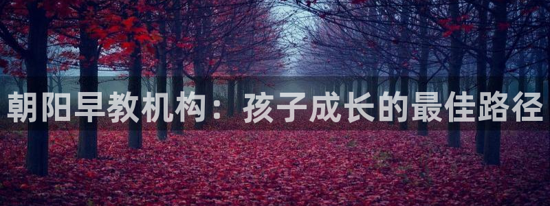 天狮娱乐靠谱吗：朝阳早教机构：孩子成长的最佳路径