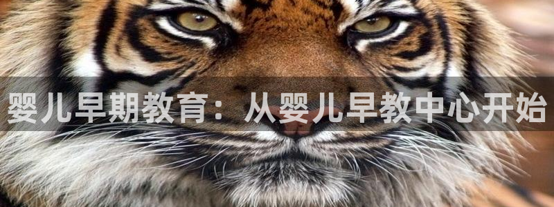 天狮娱乐家：婴儿早期教育：从婴儿早教中心开始