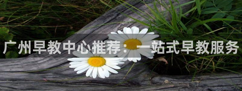 天狮娱乐返点：广州早教中心推荐：一站式早教服务