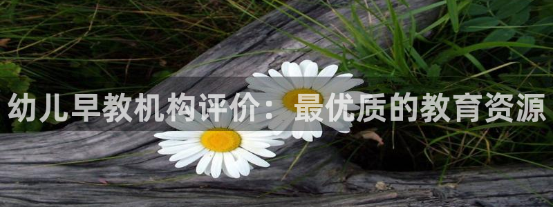 天狮娱乐q 找108306：幼儿早教机构评价：最优质的教育资源
