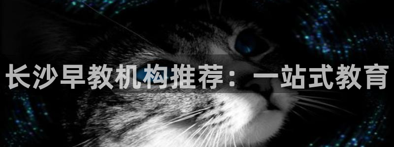天狮娱乐- 招商：长沙早教机构推荐：一站式教育