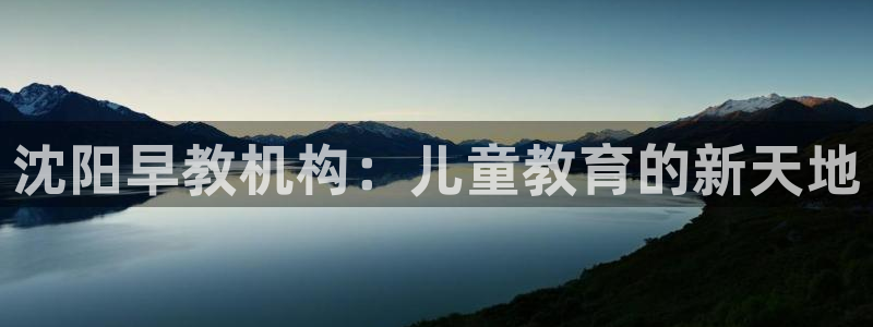 天狮娱乐下载：沈阳早教机构：儿童教育的新天地
