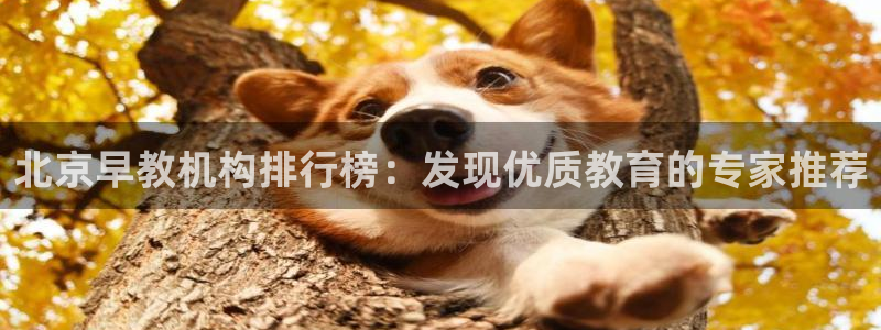 天狮娱乐返点：北京早教机构排行榜：发现优质教育的专家推荐