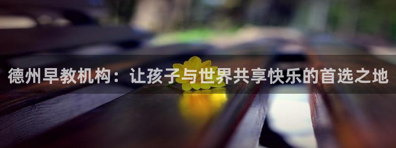 天狮娱乐 a招商98663：德州早教机构：让孩子与世界共享快乐的首选之地