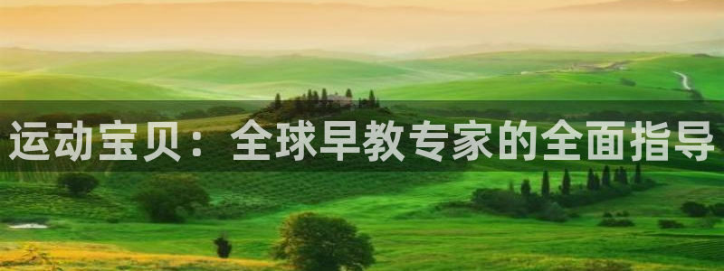 天狮娱乐行：运动宝贝：全球早教专家的全面指导