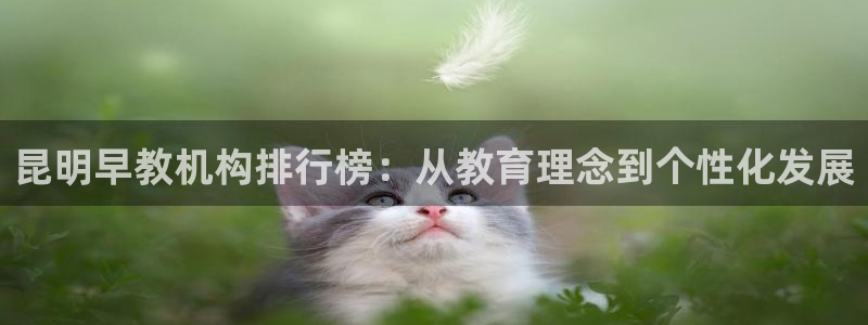 天狮娱乐妙言：昆明早教机构排行榜：从教育理念到个性化发展