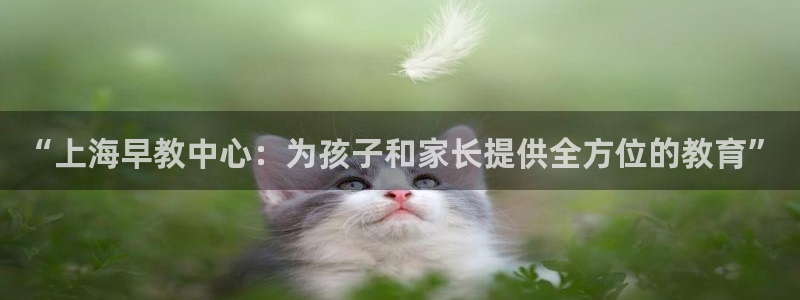 天狮娱乐(主管 )：“上海早教中心：为孩子和家长提供全方位的教育”
