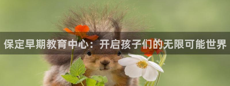 天狮娱乐负责：保定早期教育中心：开启孩子们的无限可能世界