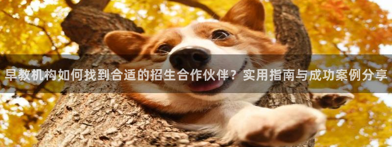 天狮天狮娱乐娱乐q：早教机构如何找到合适的招生合作伙伴？实用指南与成功案例分享