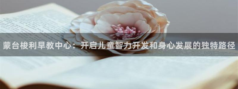 龙湖狮山天街娱乐：蒙台梭利早教中心：开启儿童智力开发和身心发展的独特路径