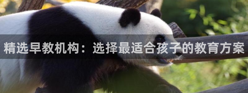 天狮娱乐彩票真假：精选早教机构：选择最适合孩子的教育方案