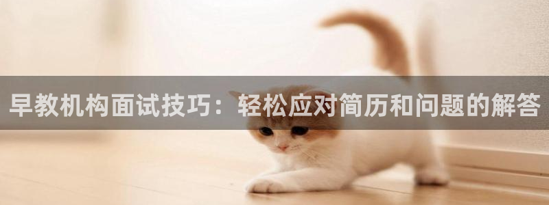 天狮学院娱乐设施：早教机构面试技巧：轻松应对简历和问题的解答