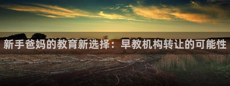 天狮娱乐购彩：新手爸妈的教育新选择：早教机构转让的可能性