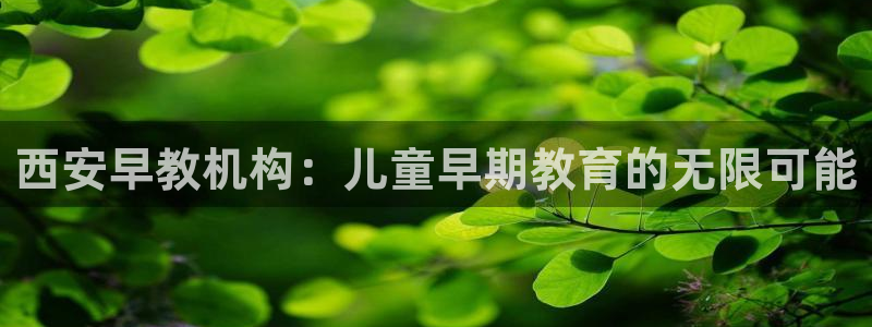 天狮娱乐注册71009：西安早教机构：儿童早期教育的无限可能