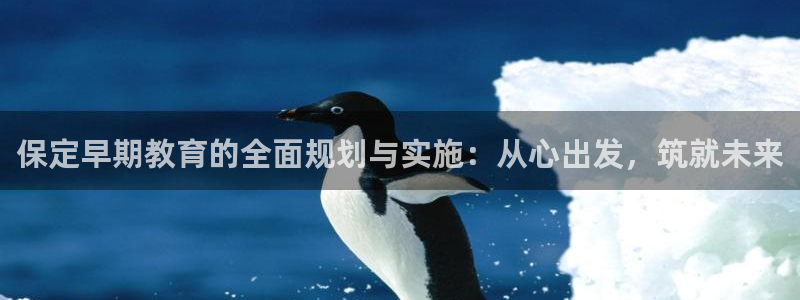 天狮娱乐返点：保定早期教育的全面规划与实施：从心出发，筑就未来