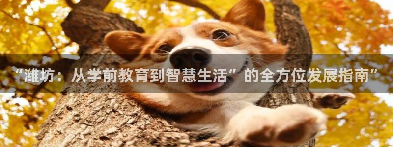 天狮娱乐彩票玩法：“潍坊：从学前教育到智慧生活”的全方位发展指南”